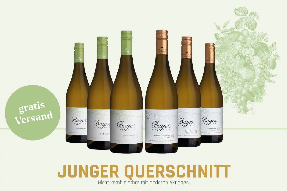 Featured image for “Junger Querschnitt”
